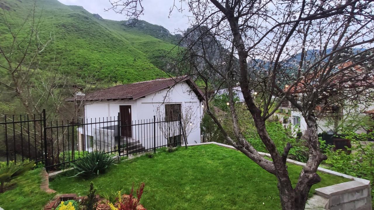 Jovanov Residence - Remote & Accessible Dolna Matka Dış mekan fotoğraf